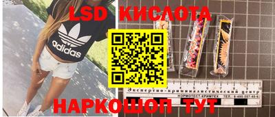 прущие грибы Краснокаменск