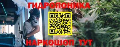 шишки Краснознаменск