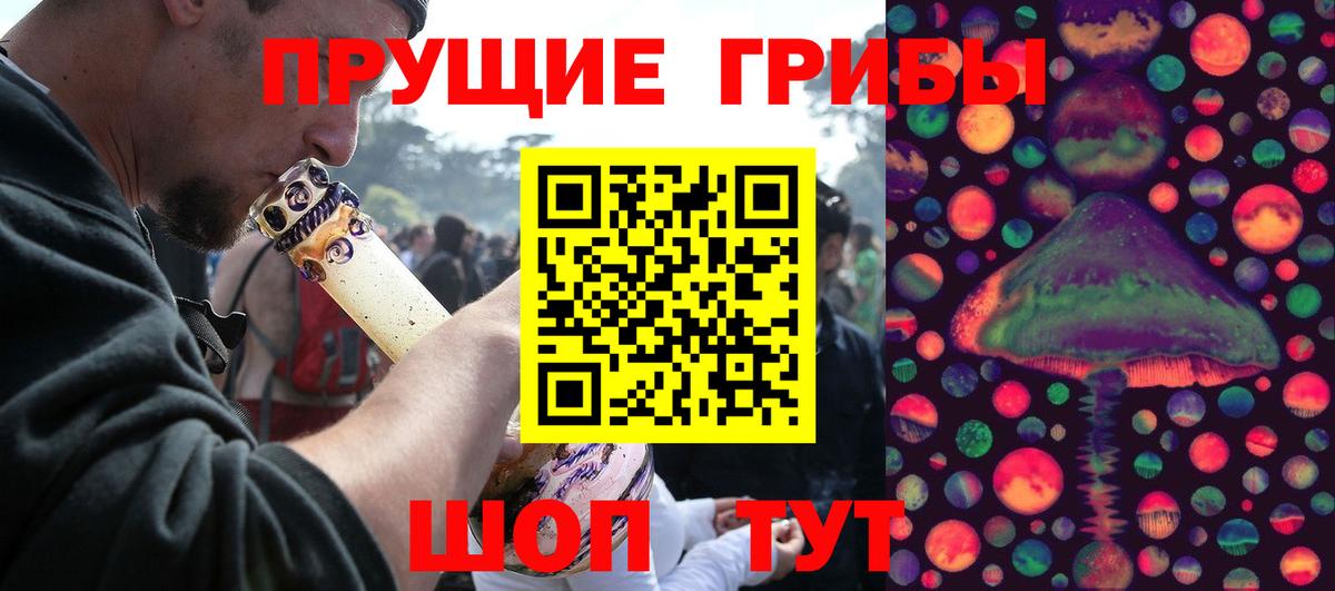 Псилоцибиновые грибы мицелий Балашов